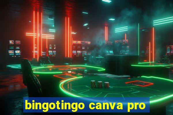 bingotingo canva pro